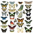 die-cuts-ephemera-id-48-x30-butterflies